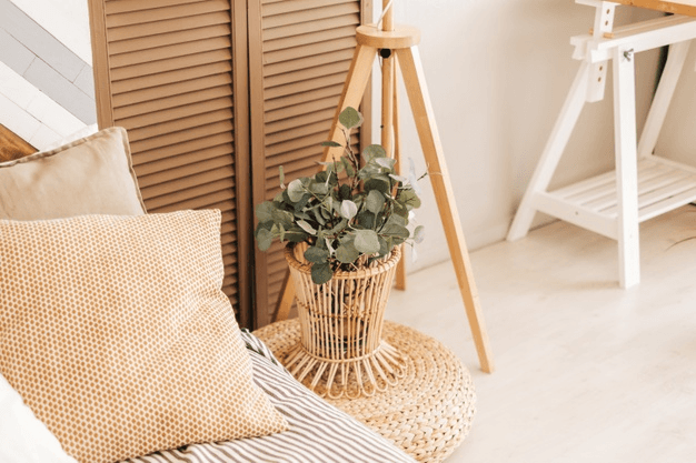 Cozy Atmosphere